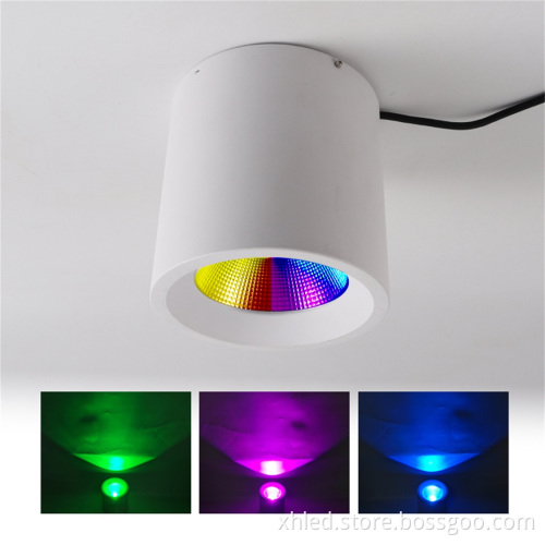 Christmas Hot Selling Remote Control RGBW Indoor Surface Mounted Downlight